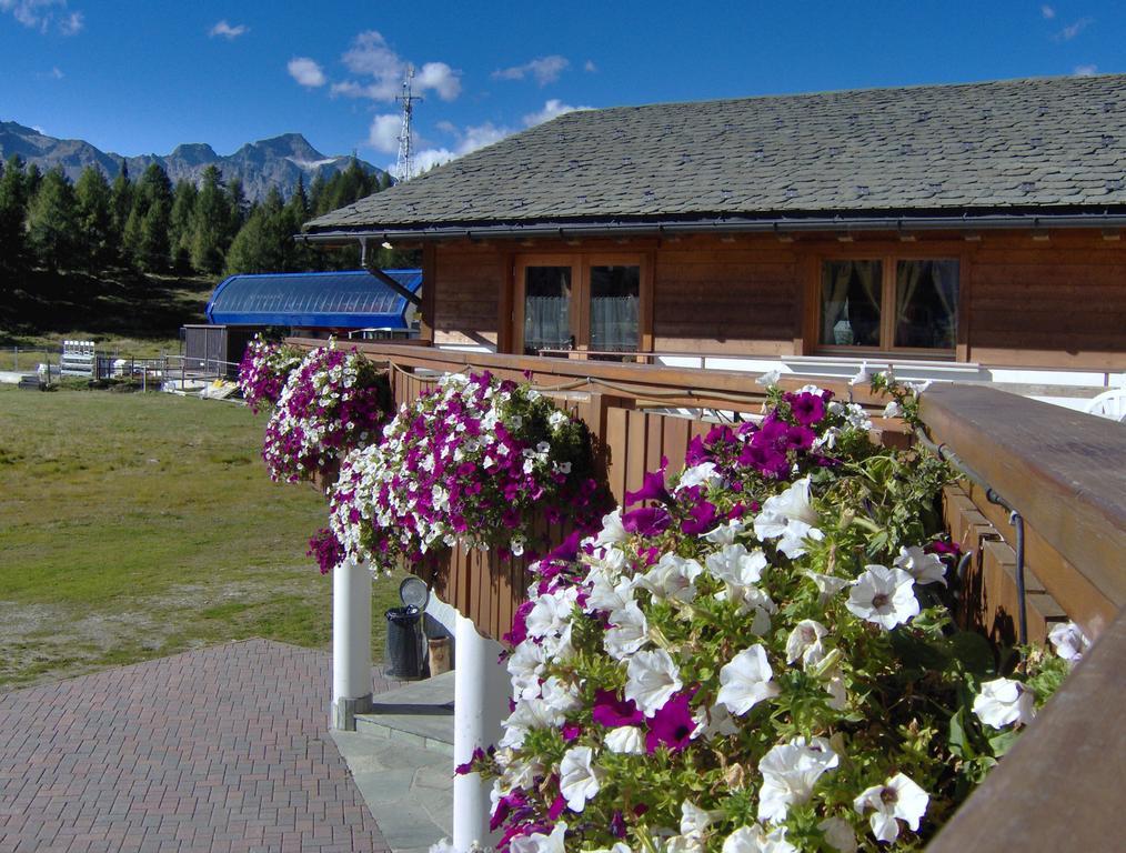 Albergo Bucaneve Камподольчіно Екстер'єр фото